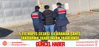 5 yıl hapis cezası ile aranan şahıs jandarma tarafından yakalandı