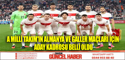 A Milli Takım'ın Almanya ve Galler maçları için aday kadrosu belli oldu