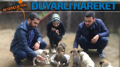 AK Gençlik'ten duyarlı hareket  