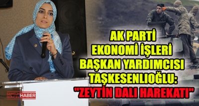 AK Parti Ekonomi İşleri Başkan Yardımcısı Taşkesenlioğlu: 