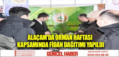 Alaçam'da Orman Haftası kapsamında fidan dağıtımı yapıldı