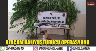 ALAÇAM'DA UYUŞTURUCU OPERASYONU