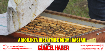 Arıcılıkta kışlatma dönemi başladı