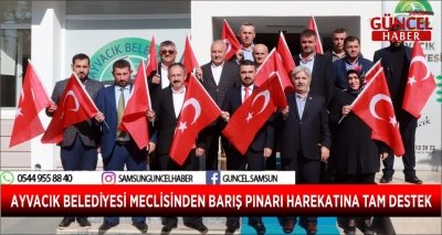 AYVACIK BELEDİYESİ MECLİSİNDEN BARIŞ PINARI HAREKATINA TAM DESTEK