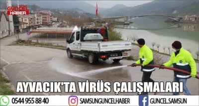 AYVACIK'TA VİRÜS ÇALIŞMALARI