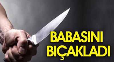 Babasını Bıçakladı