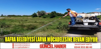 BAFRA BELEDİYESİ LARVA MÜCADELESİNE DEVAM EDİYOR