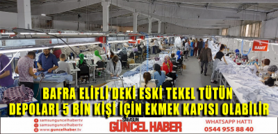 BAFRA ELİF'LİDEKİ ESKİ TEKEL TÜTÜN DEPOLARI  5 BİN KİŞİ İÇİN EKMEK KAPISI OLABİLİR