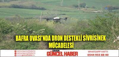 Bafra Ovası'nda Dron destekli sivrisinek mücadelesi