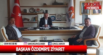 BAŞKAN ÖZDEMİR'E ZİYARET