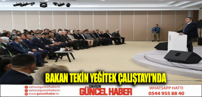 BAKAN TEKİN YEĞİTEK ÇALIŞTAYI'NDA 