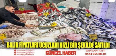 BALIK FİYATLARI UCUZLADI HIZLI BİR ŞEKİLDE SATILDI