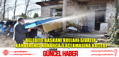 Belediye başkanı kolları sıvayıp, kahverengi kokarca ilaçlamasına katıldı