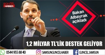 BERAT ALBAYRAK AÇIKLADI; 1,2 MİLYAR TL'LİK DESTEK GELİYOR