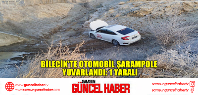 Bilecik'te otomobil şarampole yuvarlandı: 1 yaralı