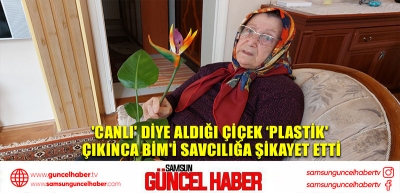 'Canlı' diye aldığı çiçek ‘plastik' çıkınca BİM'i savcılığa şikayet etti