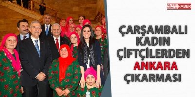 ÇARŞAMBALI KADIN ÇİFTÇİLERDEN ANKARA ÇIKARMASI