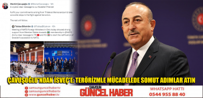 ÇAVUŞOĞLU'NDAN İSVEÇ'E: TERÖRİZMLE MÜCADELEDE SOMUT ADIMLAR ATIN