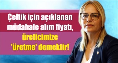 Çeltik için açıklanan müdahale alım fiyatı, üreticimize 'üretme' demektir!