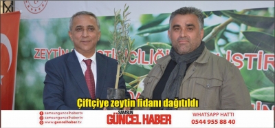 Çiftçiye zeytin fidanı dağıtıldı