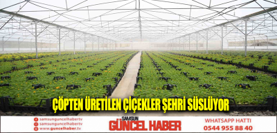 Çöpten üretilen çiçekler şehri süslüyor