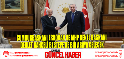 Cumhurbaşkanı Erdoğan ve MHP Genel Başkanı Devlet Bahçeli Beştepe’de bir araya gelecek