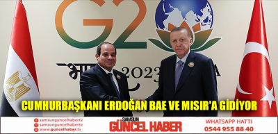 Cumhurbaşkanı Erdoğan BAE ve Mısır'a gidiyor