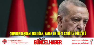 Cumhurbaşkanı Erdoğan, Katar Emiri Al Sani ile görüştü