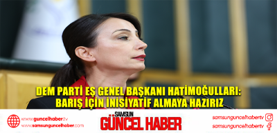 DEM Parti Eş Genel Başkanı Hatimoğulları: Barış için inisiyatif almaya hazırız