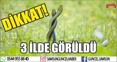 DİKKAT! 3 İLDE GÖRÜLDÜ