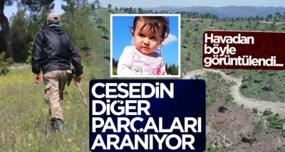 Ecrin'e ait olduğu düşünülen cesedin diğer parçaları aranıyor