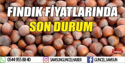 FINDIK FİYATLARINDA SON DURUM