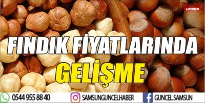 FINDIK FİYATLARINDA GELİŞME