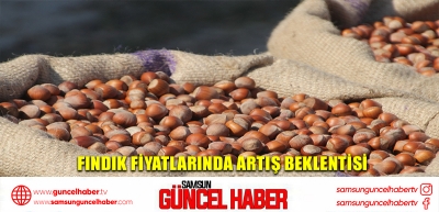 Fındık fiyatlarında artış beklentisi