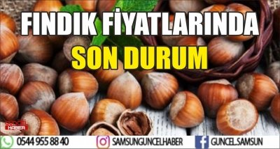 FINDIK FİYATLARINDA SON DURUM