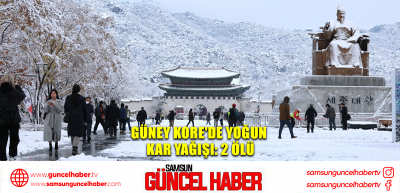 Güney Kore'de yoğun kar yağışı: 2 ölü