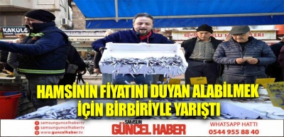 Hamsinin fiyatını duyan alabilmek için birbiriyle yarıştı