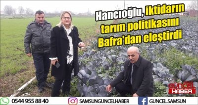 Hancıoğlu, iktidarın tarım politikasını Bafra'dan eleştirdi