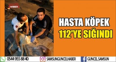 HASTA KÖPEK 112'YE SIĞINDI