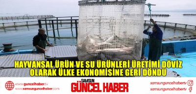 Hayvansal ürün ve su ürünleri üretimi döviz olarak ülke ekonomisine geri döndü