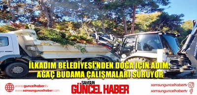 İlkadım Belediyesi'nden Doğa İçin Adım: Ağaç Budama Çalışmaları Sürüyor