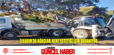 İlkadım’da ağaçlar, kent estetiği için budanıyor