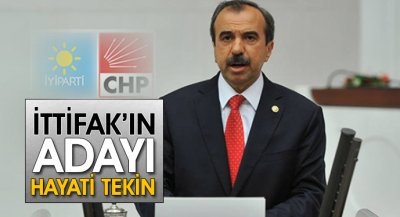 İttifakın Adayı Hayati Tekin