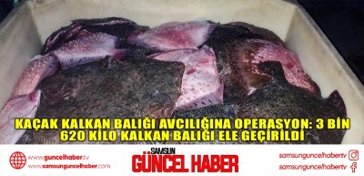 Kaçak kalkan balığı avcılığına operasyon: 3 bin 620 kilo kalkan balığı ele geçirildi