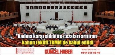 Kadına karşı şiddette cezaları arttıran kanun teklifi TBMM'de kabul edildi