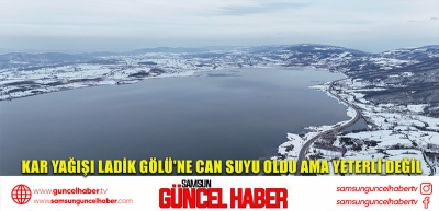 Kar yağışı Ladik Gölü'ne can suyu oldu ama yeterli değil