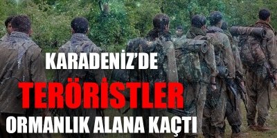 Karadeniz'de teröristler ormanlık alana kaçtı  