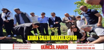 Kavak salebi markalaşıyor