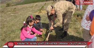 KAVAK’TA  “AFRİN ŞEHİTLERİ HATIRA ORMANI ” OLUŞTURULDU