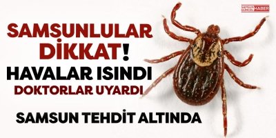 Kelkit Vadisi'nde yaşayanlara kene uyarısı